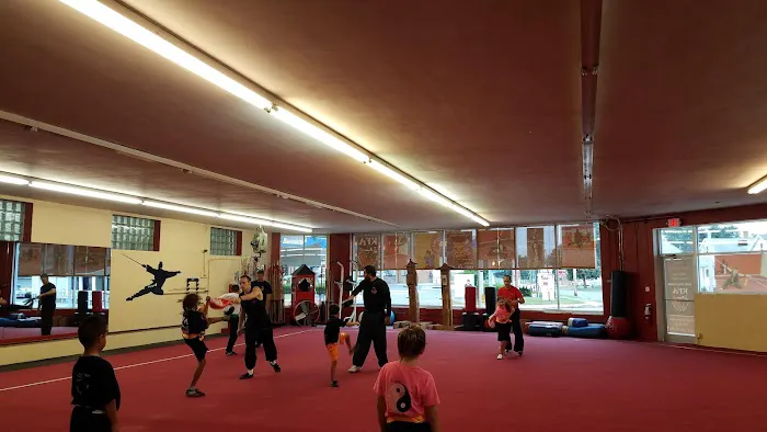 Chinese Kung Fu Wushu Academy Picture 4