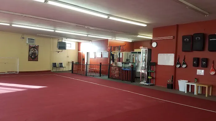 Chinese Kung Fu Wushu Academy Picture 9