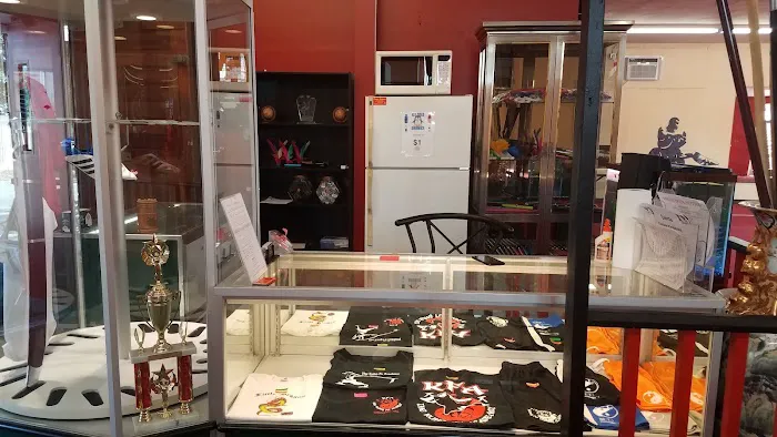 Chinese Kung Fu Wushu Academy Picture 7