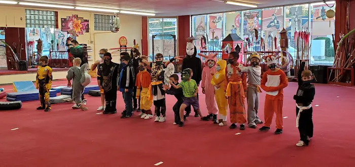 Chinese Kung Fu Wushu Academy Picture 8