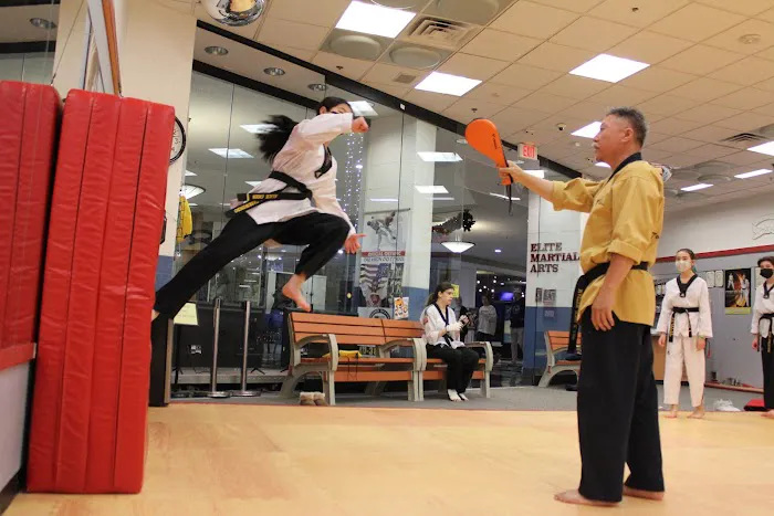 Elite Taekwondo Picture 2