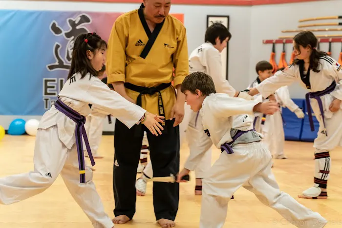 Elite Taekwondo Picture 1