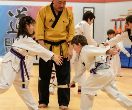 Elite Taekwondo