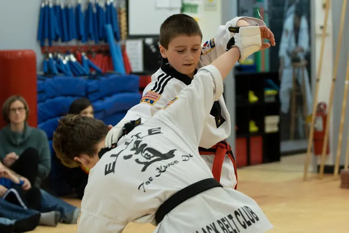Elite Taekwondo Picture 4