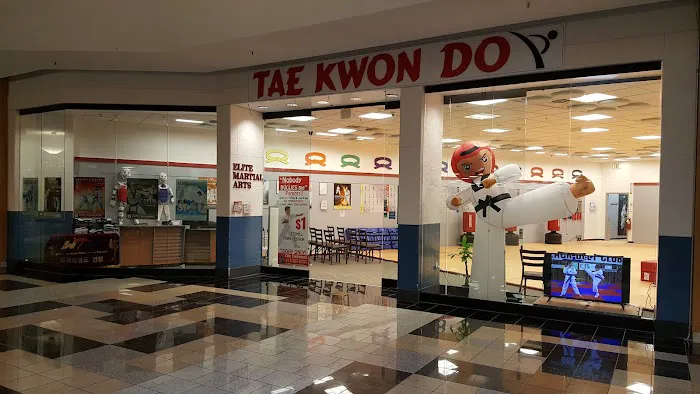 Elite Taekwondo Picture 3