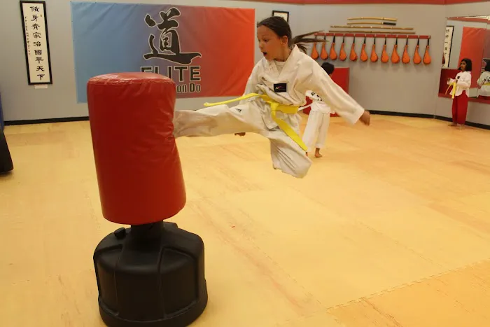 Elite Taekwondo Picture 9