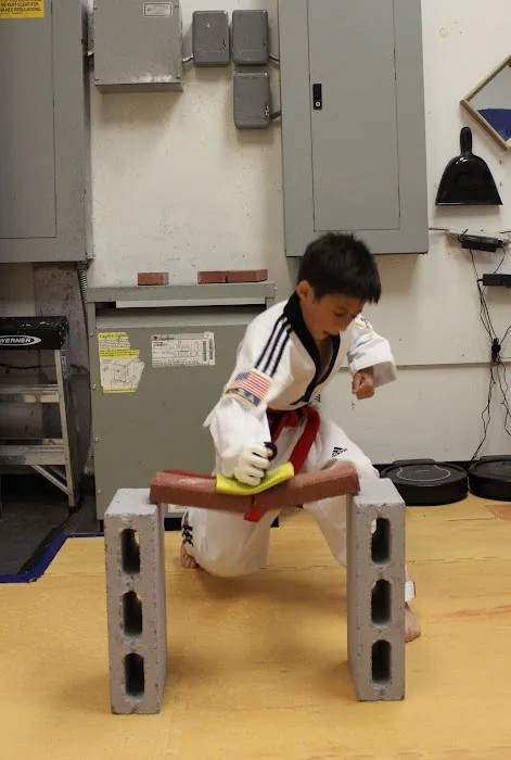 Elite Taekwondo Picture 8