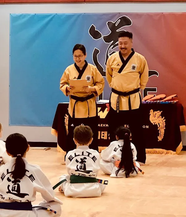Elite Taekwondo Picture 6
