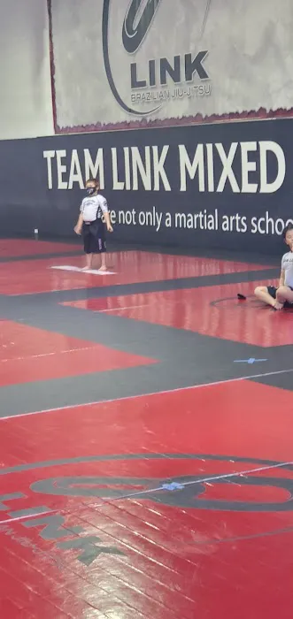 Team Link Ludlow MA - Brazilian Jiu Jitsu Picture 1