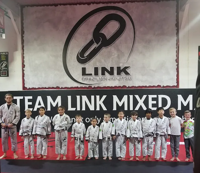 Team Link Ludlow MA - Brazilian Jiu Jitsu Picture 3