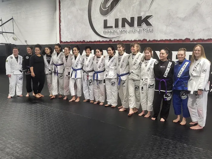 Team Link Ludlow MA - Brazilian Jiu Jitsu Picture 6