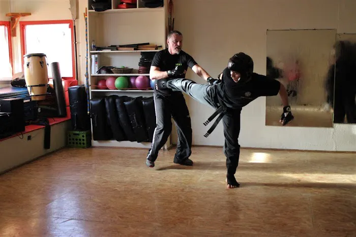 Spirit of the Heart Martial Arts and Wellness Picture 3