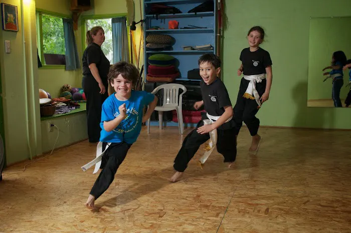 Spirit of the Heart Martial Arts and Wellness Picture 1