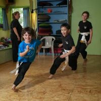 Spirit of the Heart Martial Arts and Wellness ico