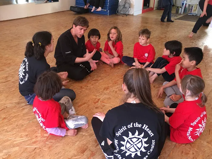 Spirit of the Heart Martial Arts and Wellness Picture 8