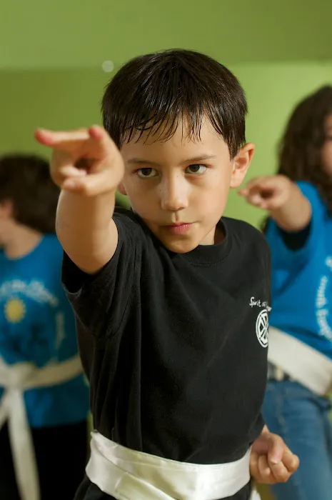 Spirit of the Heart Martial Arts and Wellness Picture 10