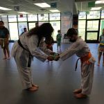 Cobleskill Taekwondo & Martial Arts LLC