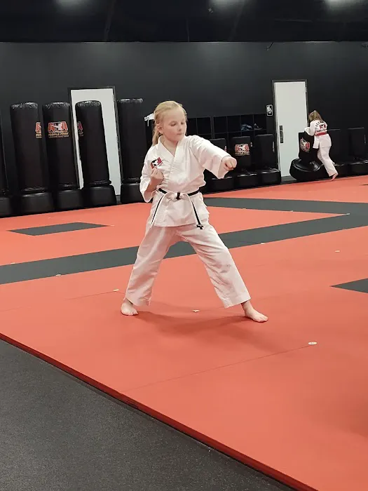 ATA Martial Arts Aberdeen MD Picture 4