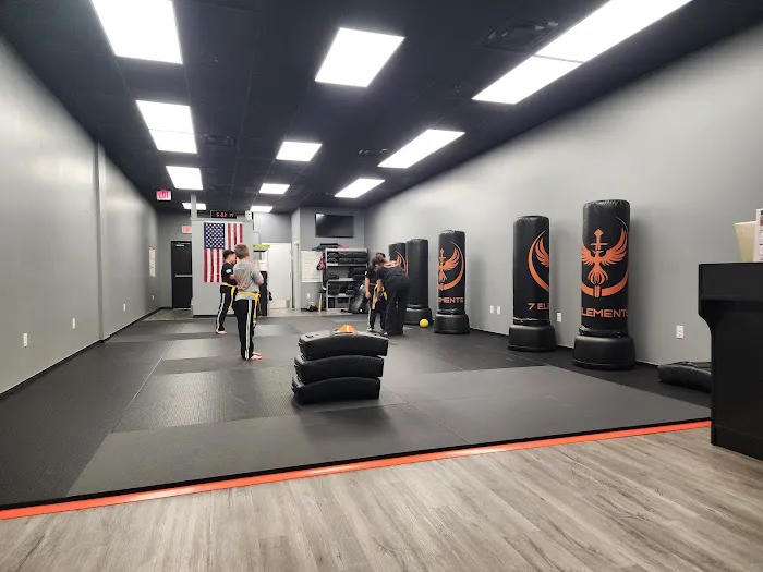 7 Elements Krav Maga and Self-Defense Picture 1