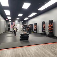 7 Elements Krav Maga and Self-Defense ico