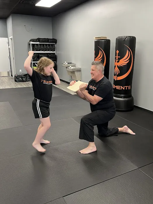 7 Elements Krav Maga and Self-Defense Picture 5