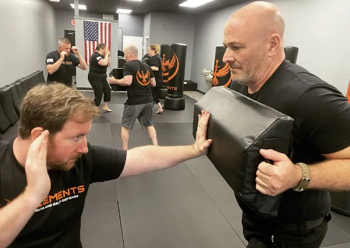 7 Elements Krav Maga and Self-Defense Picture 7