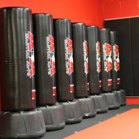 ATA Martial Arts Maryland Bel Air ico