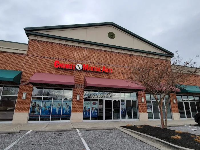 Chung's Martial Arts Picture 1