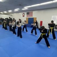 Martin’s American Kenpo Karate ico