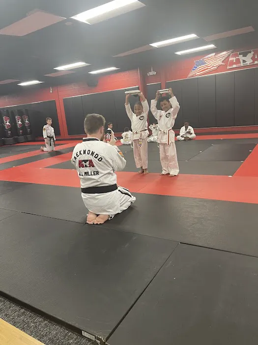 ATA Martial Arts Maryland Towson Picture 2
