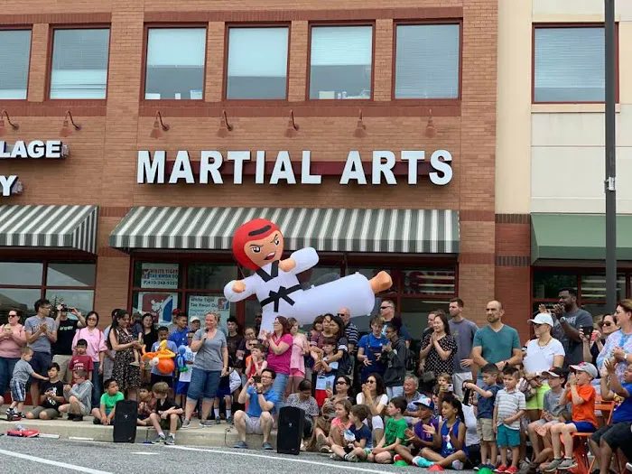 White Tiger Tae Kwon Do Picture 3