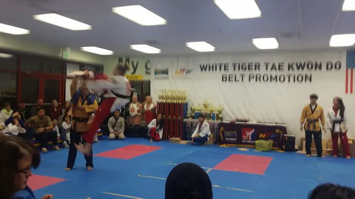 White Tiger Tae Kwon Do Picture 9