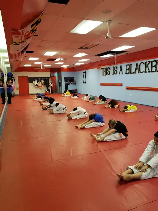 Tiger Paw Martial Arts Picture 4