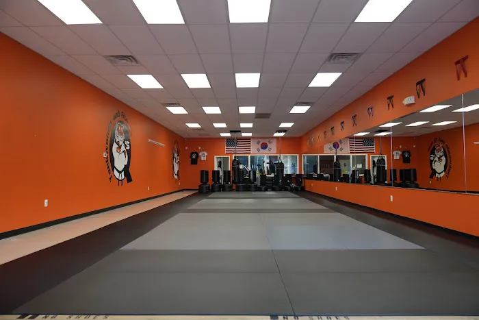 Q's Taekwondo and Fitness Picture 7