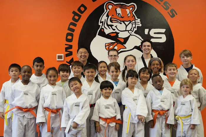 Q's Taekwondo and Fitness Picture 5
