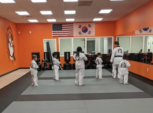 Q's Taekwondo and Fitness Picture 1