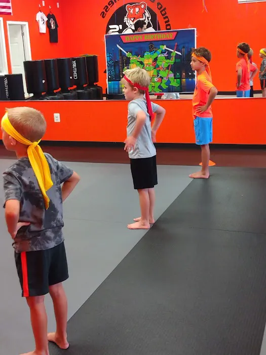 Q's Taekwondo and Fitness Picture 10