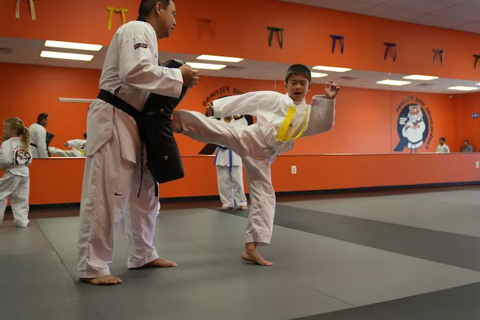 Q's Taekwondo and Fitness Picture 9