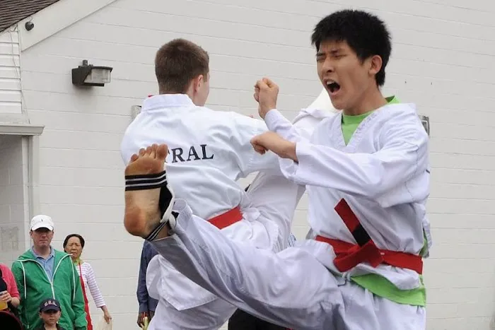 Central Tae Kwon Do Center Picture 7