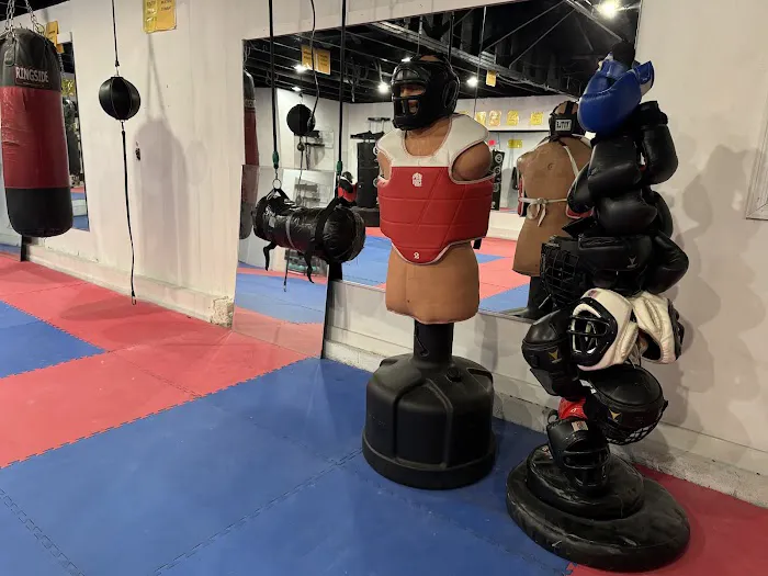 Abingdon Kickboxing and MMA Picture 3