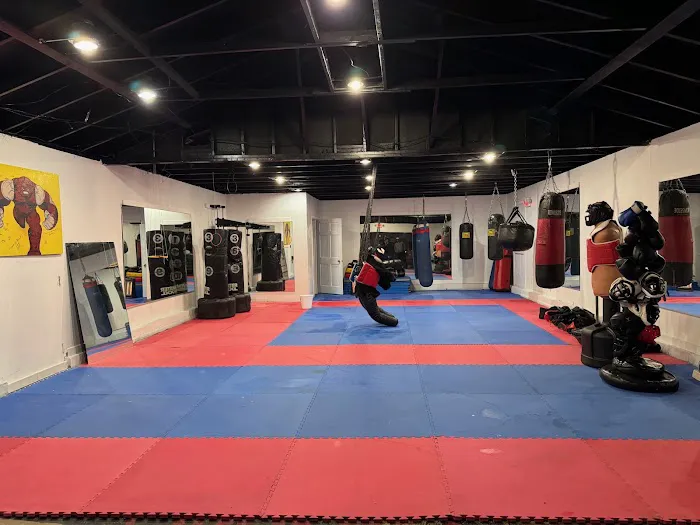 Abingdon Kickboxing and MMA Picture 2