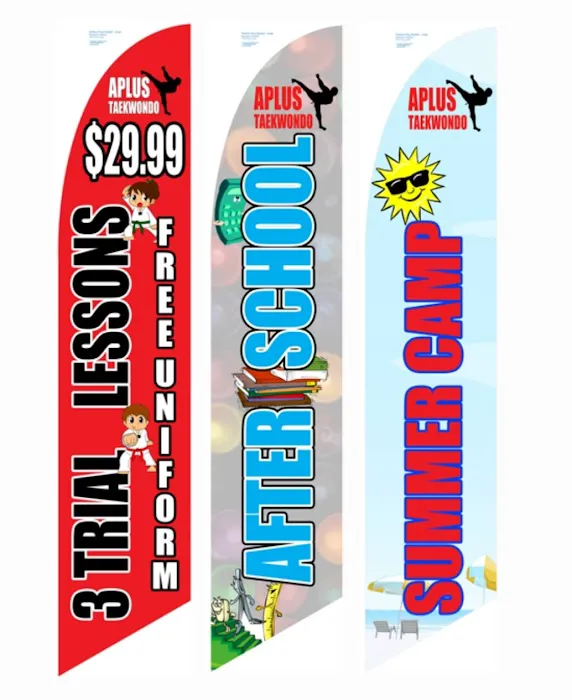 APLUS Martial ArtsTaekwondo Before&After school care and Summer camp Picture 3