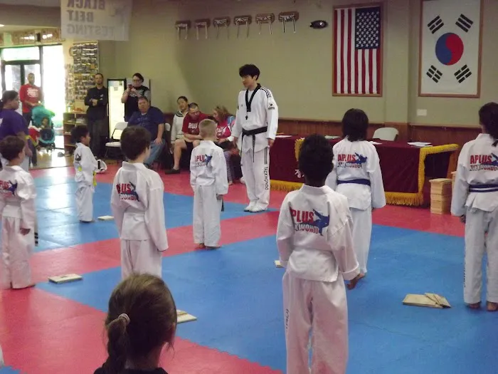 APLUS Martial ArtsTaekwondo Before&After school care and Summer camp Picture 4