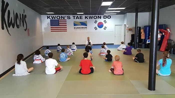Kwon's Taekwondo After Care and Summer Camp Picture 5