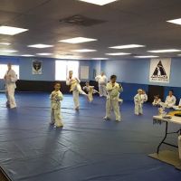 Warrior Taekwon-Do ico