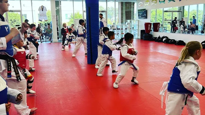 Tiger World Class Tae Kwon Do Picture 4