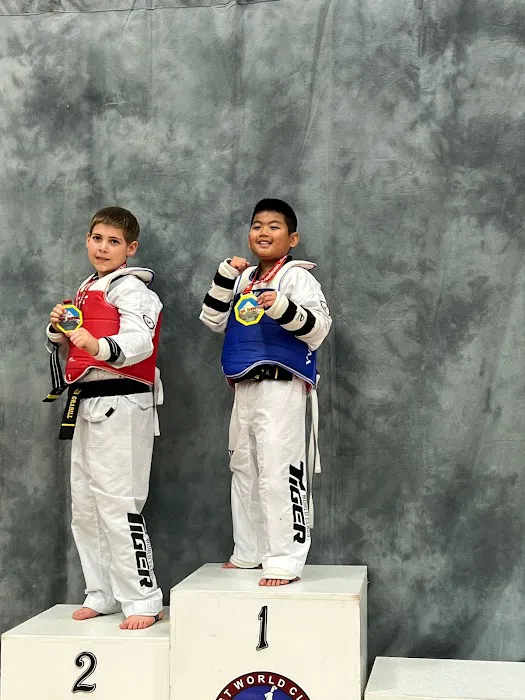 Tiger World Class Tae Kwon Do Picture 6