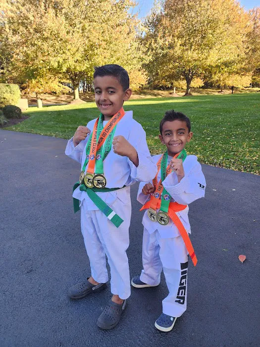 Tiger World Class Tae Kwon Do Picture 8