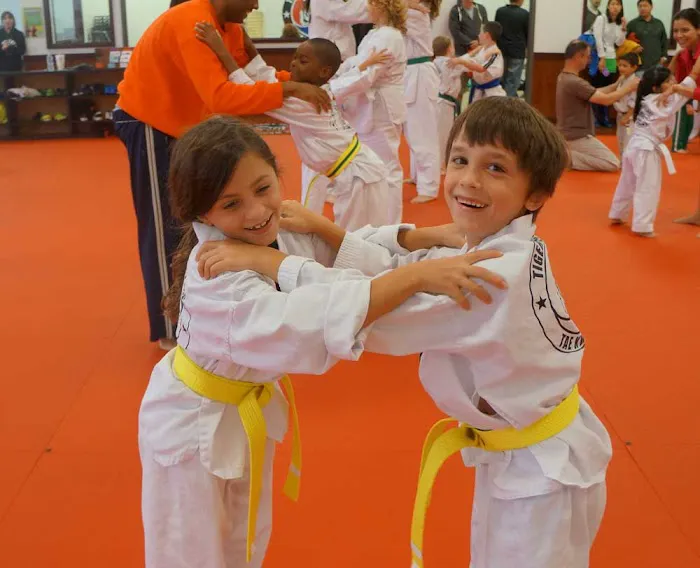 Tiger World Class Tae Kwon Do Picture 10
