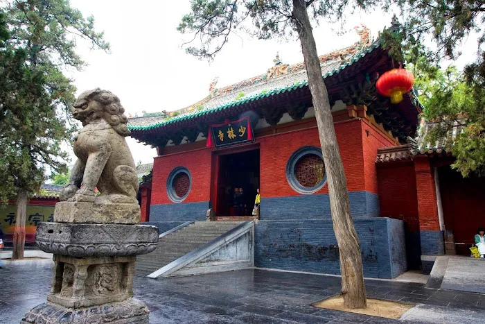 Traditional Wing Chun Baltimore Picture 5